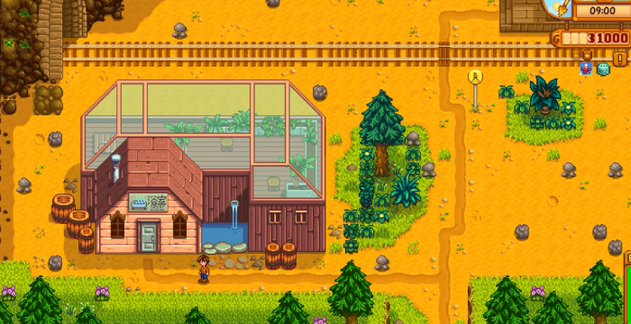 星露谷物语隐藏地点怎么解锁1