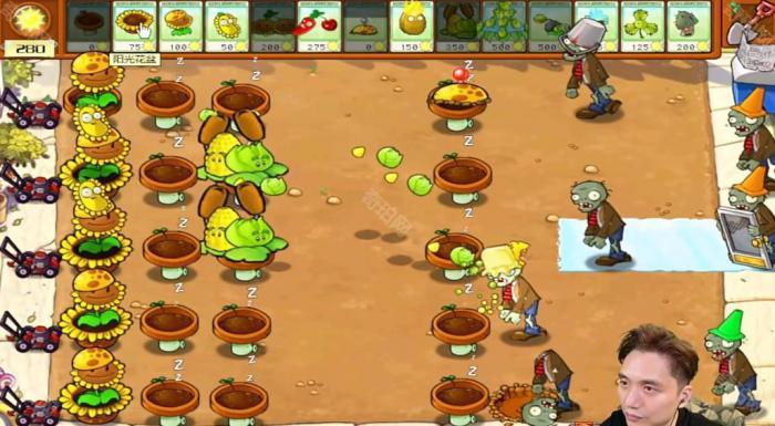 《植物大战僵尸杂交版》冒险模式第26关通关攻略3