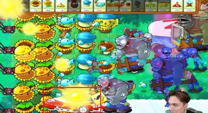 《植物大战僵尸杂交版》冒险模式第37关通关攻略6