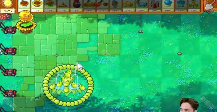 《植物大战僵尸杂交版》冒险模式第39关通关攻略2