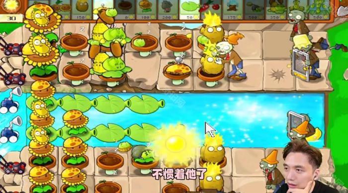 《植物大战僵尸杂交版》冒险模式第24关通关攻略4