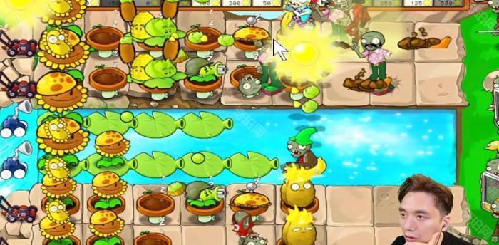 《植物大战僵尸杂交版》冒险模式第24关通关攻略5