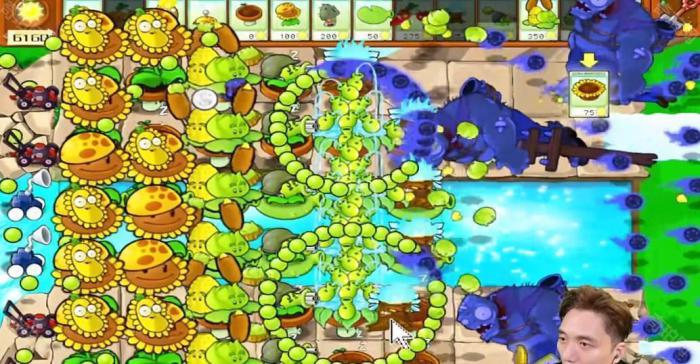 《植物大战僵尸杂交版》冒险模式第24关通关攻略6