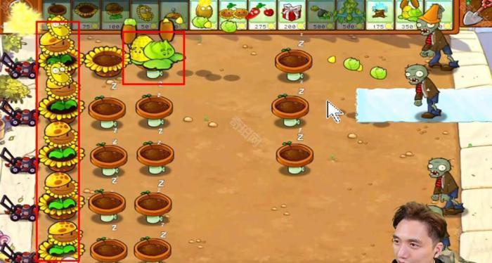 《植物大战僵尸杂交版》冒险模式第28关通关攻略3