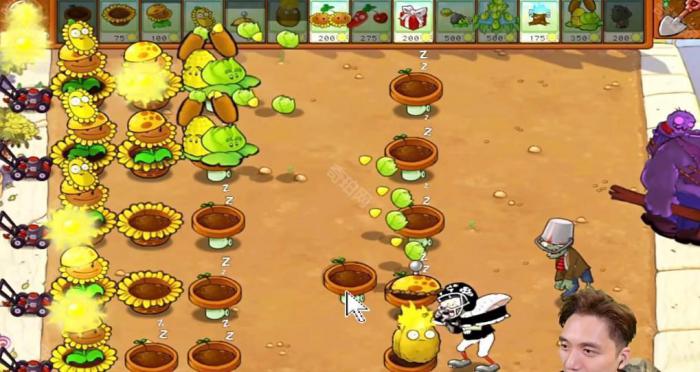 《植物大战僵尸杂交版》冒险模式第28关通关攻略4