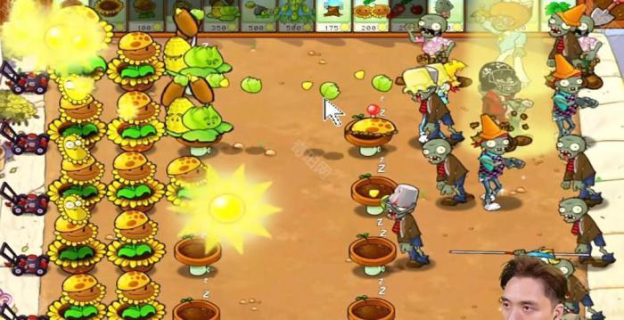 《植物大战僵尸杂交版》冒险模式第29关通关攻略3