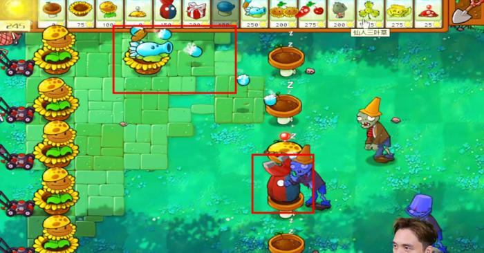 《植物大战僵尸杂交版》冒险模式第36关通关攻略3