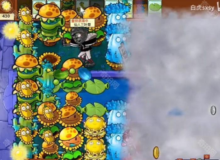 《植物大战僵尸杂交版》挑战模式第26关通关攻略5