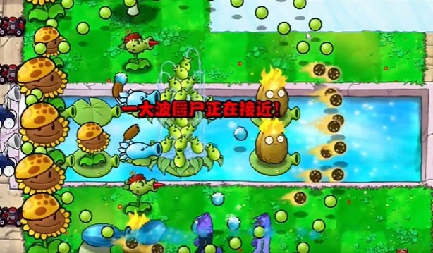 《植物大战僵尸杂交版》冒险模式第13关通关攻略6