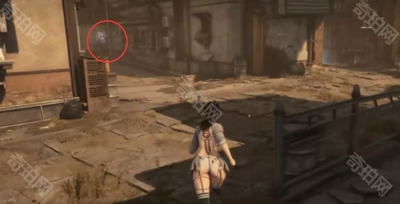 《剑星》猫咪摄影展任务攻略26