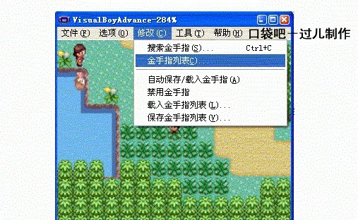 《口袋妖怪绿宝石》金手指代码使用攻略2