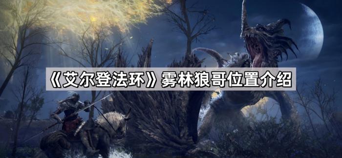 《艾尔登法环》雾林狼哥位置介绍1