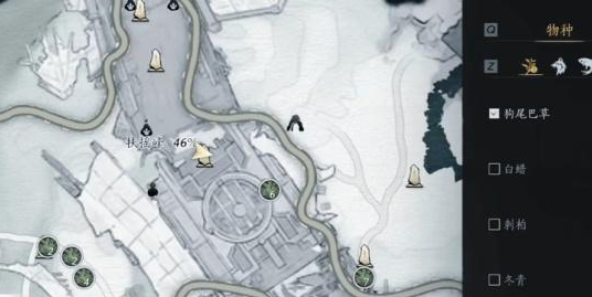 燕云十六声狗尾巴花怎么采集3