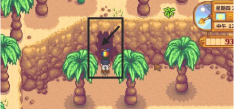 星露谷物语沙漠矿洞怎么进5