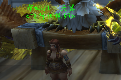 魔兽世界暴风城骑术训练师在哪6