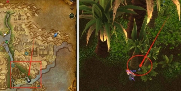 魔兽世界谜语人的灵蛇怎么获得5