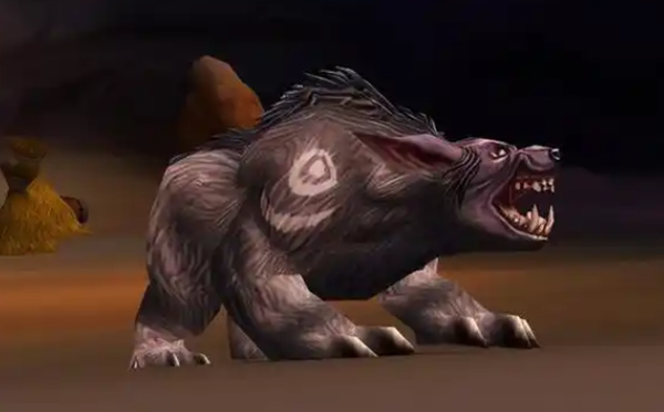 魔兽世界11.1熊德常用宏命令代码有哪些1