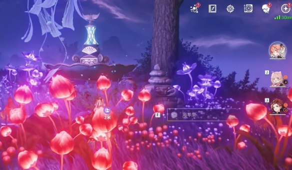 鸣潮幽夜幻梦任务怎么做4