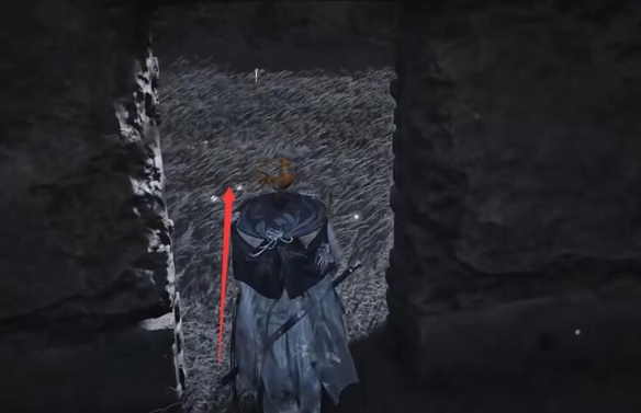 燕云十六声六疾哀鸣任务怎么做5