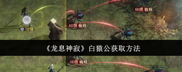 龙息神寂白猿公怎么获取_龙息神寂白猿公和谁配合