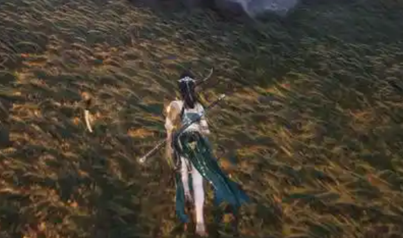 燕云十六声蛇王密藏怎么过_燕云十六声蛇王密藏任务