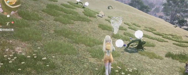 无限暖暖花球娘在哪捕捉_无限暖暖花球娘位置