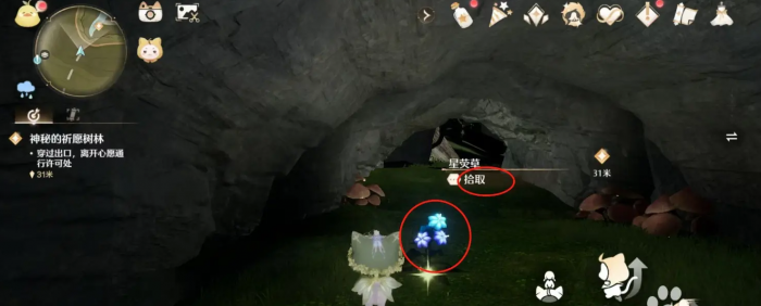 无限暖暖星荧草怎么获得3