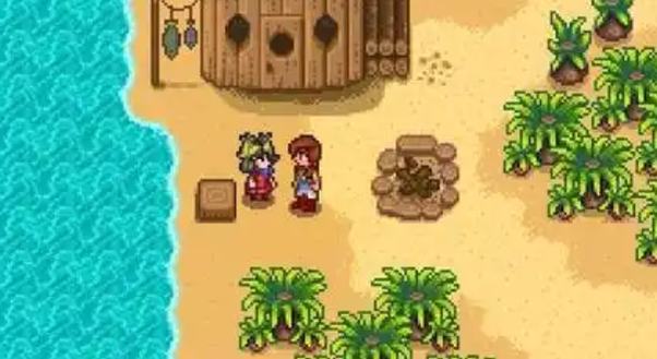 星露谷物语海盗的妻子任务怎么做1