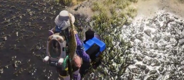 七日世界集成型机关指示器怎么获得3