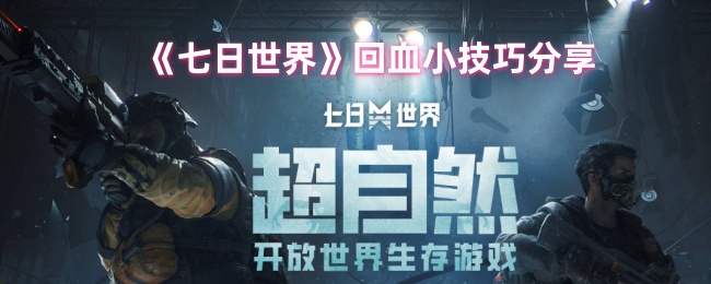 七日世界怎么回血_七日世界回血流配装