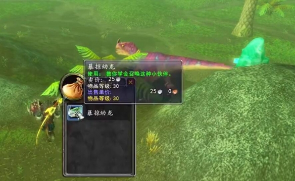 魔兽世界宠物暴掠幼龙怎么获得3