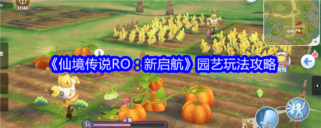 仙境传说新启航园艺怎么玩1