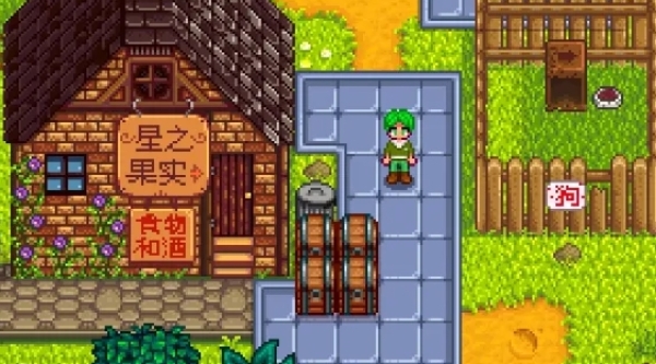 星露谷物语芒果树种哪里2