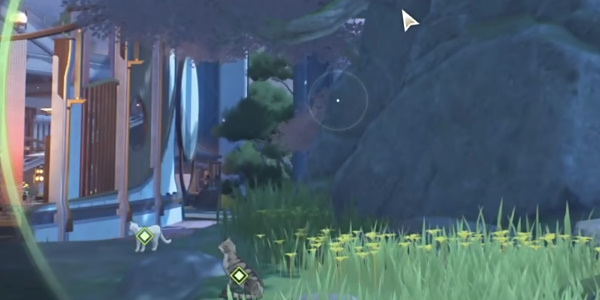 鸣潮拍忆今州任务怎么完成4