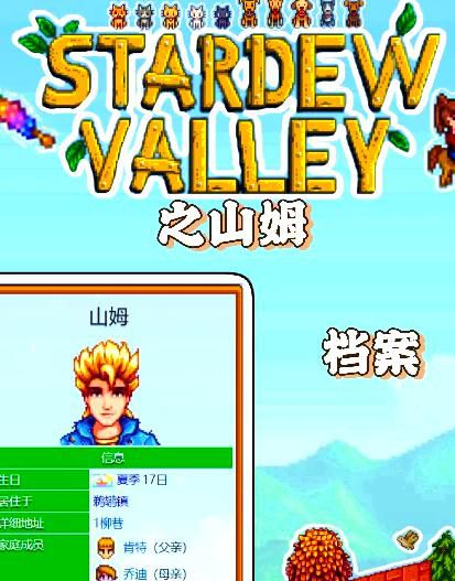 星露谷物语山姆喜欢什么2