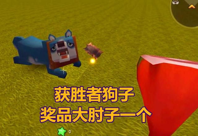 迷你世界怎么驯服狼2