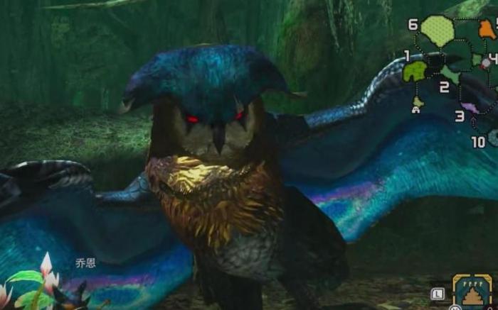 怪物猎人2g眠鸟怎么打1