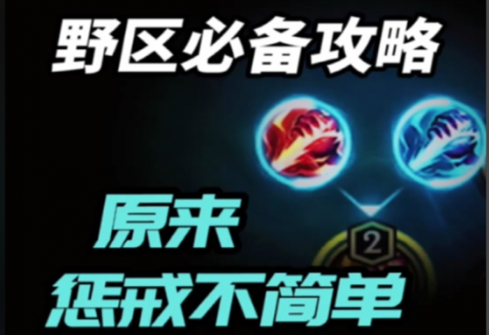 英雄联盟手游盲僧皇子带什么惩戒1