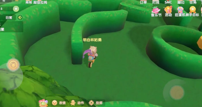 摩尔庄园迷宫花园怎么进去_摩尔庄园迷宫设计图