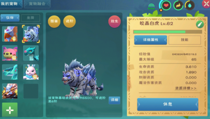 创造与魔法如何升级皎金白虎_创造与魔法皎白虎资质