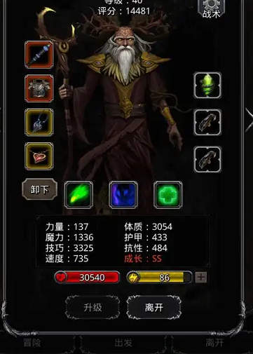 地下城堡2哪个转巫医比较好1