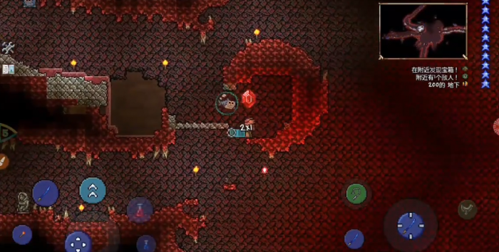 泰拉瑞亚如何使用可疑的眼球3