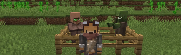 我的世界怎么把村民弄回家1