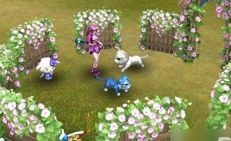 倩女幽魂灵兽从哪里抓2