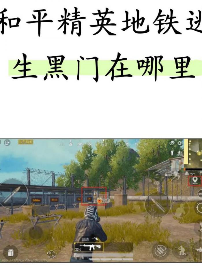 和平精英设置隐身在哪1