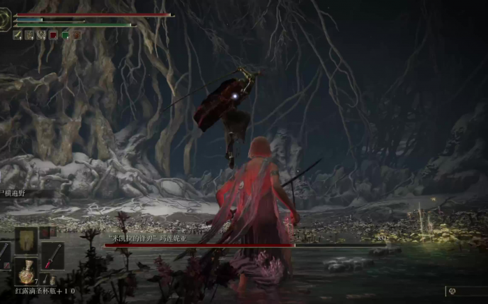 艾尔登法环怎么躲女武神水鸟2