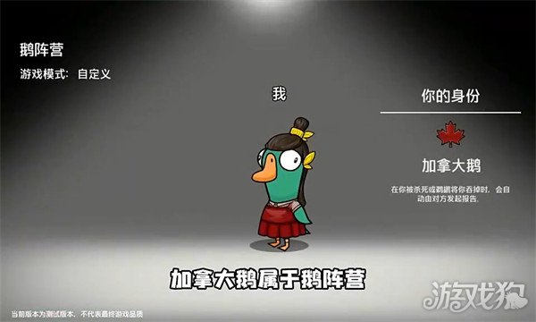 鹅鸭杀加拿大鹅是干嘛的_加拿大鹅 鸭