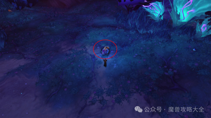 魔兽世界失落的虚空幼龙怎么获得3