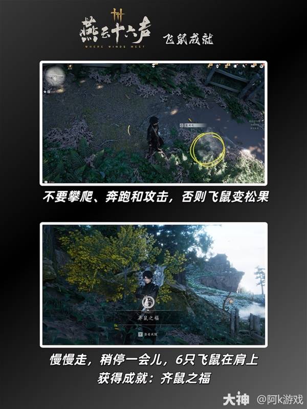 燕云十六声飞鼠成就攻略2