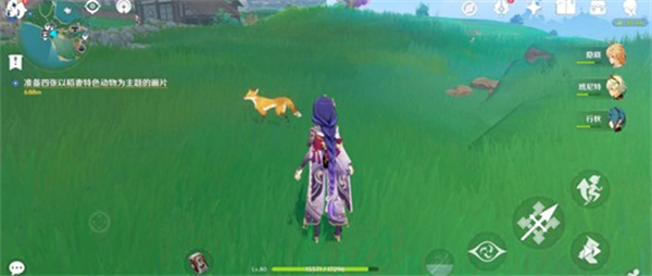 原神月章星句第二天稻妻动物拍照_原神给动物拍照